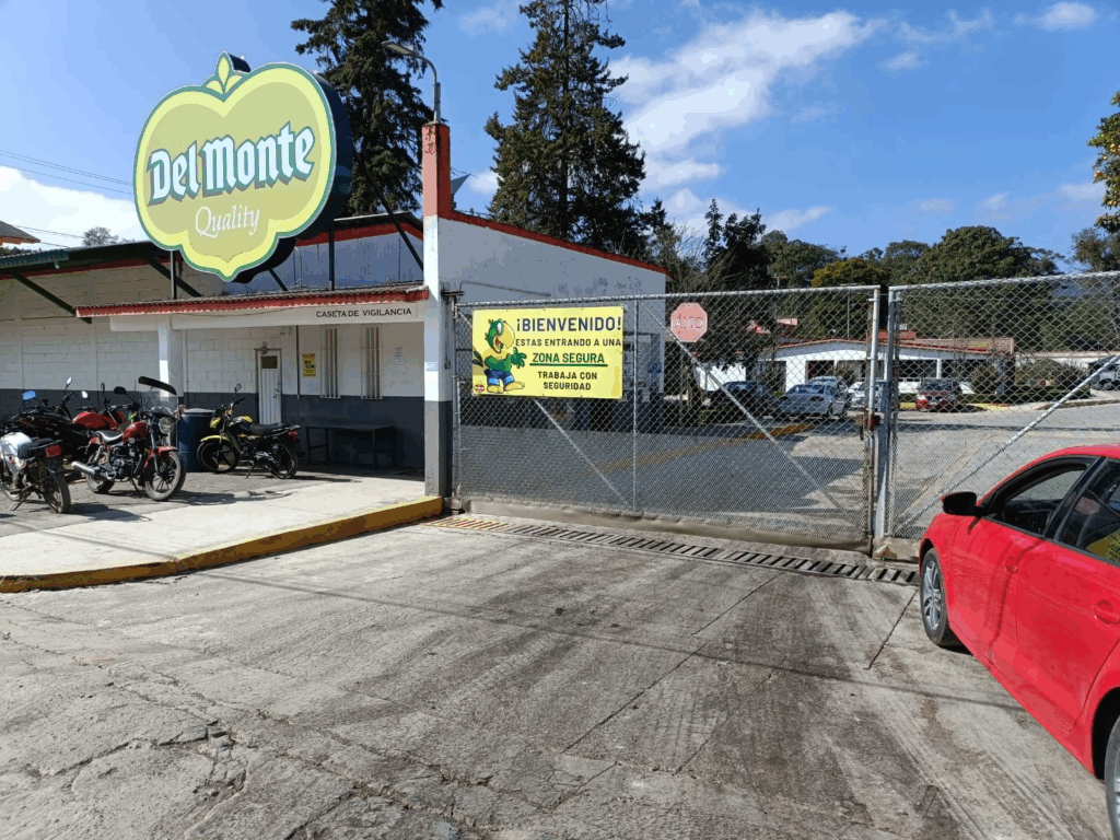 Del monte en quiebra