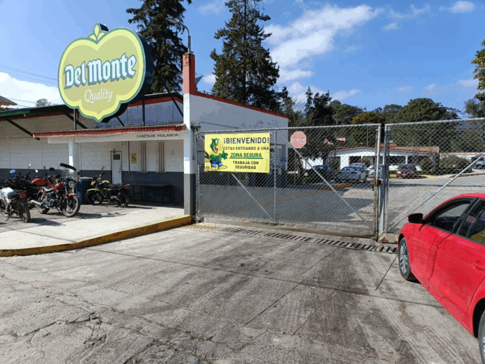 Del monte en quiebra
