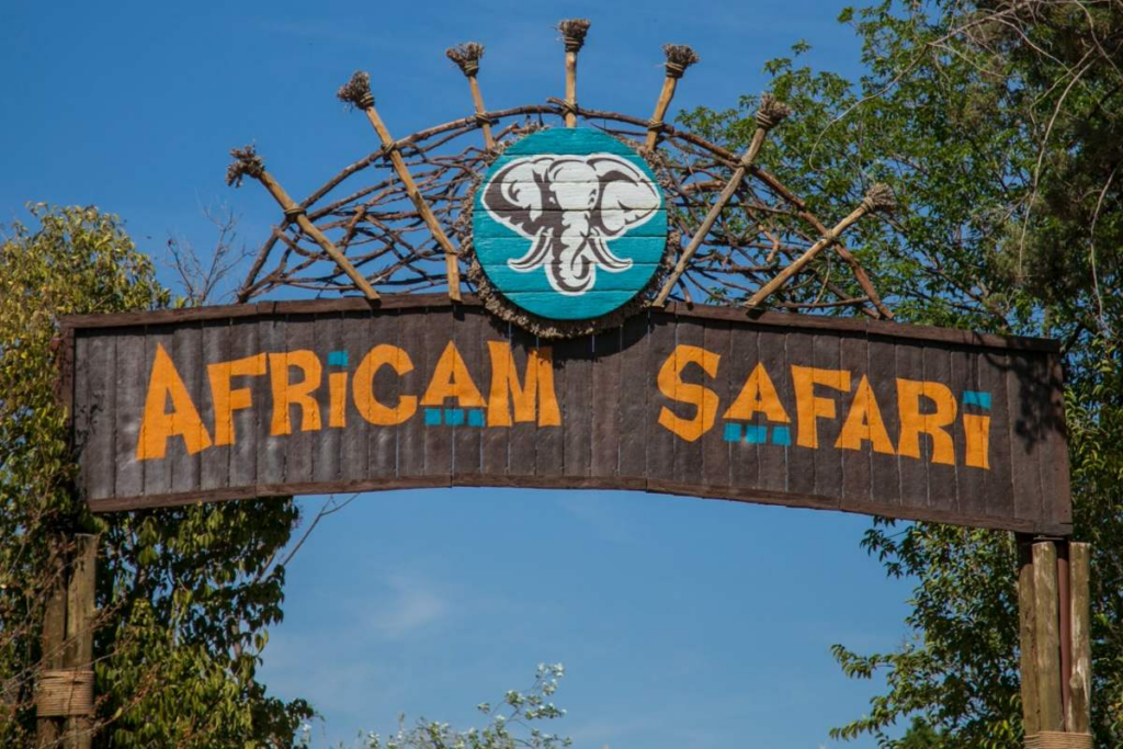 Africam Safari
