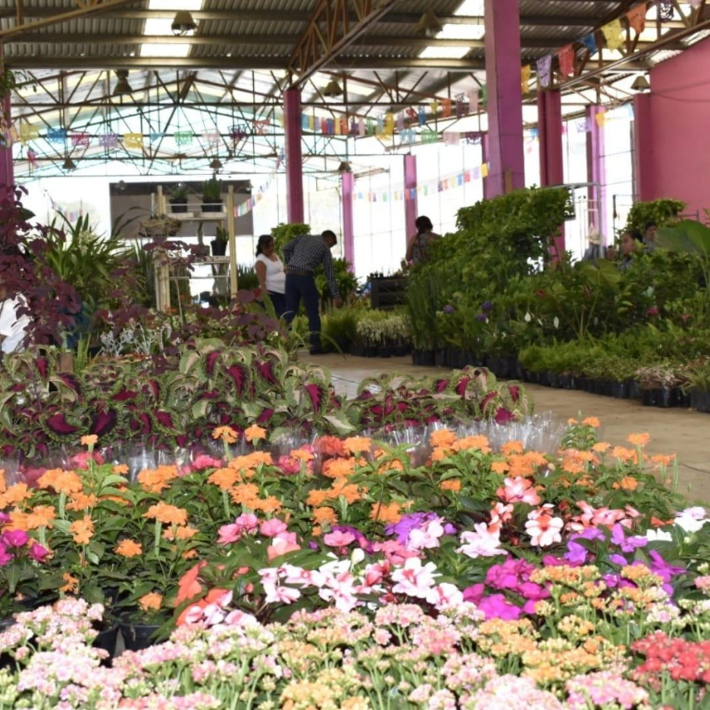 Feria de las Flores Huauchinango